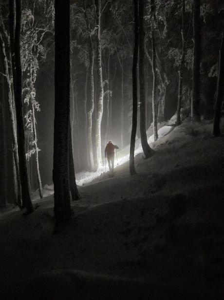 586227866_10236868542125512_8157544344931295090_n 20251122.jpg