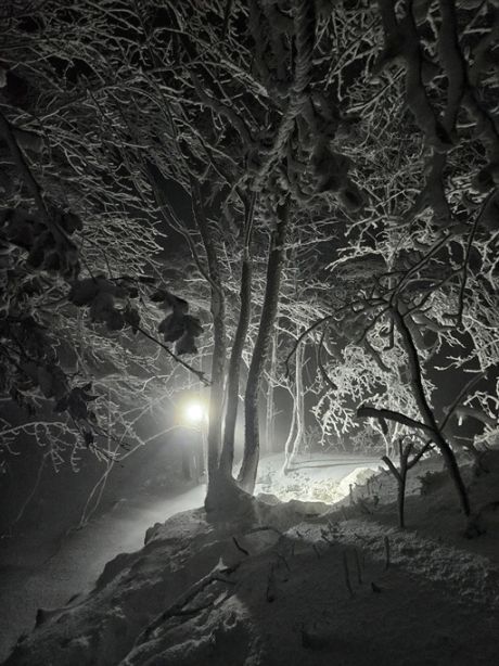 586519516_10236868554485821_8939250103323123085_n 20251122.jpg