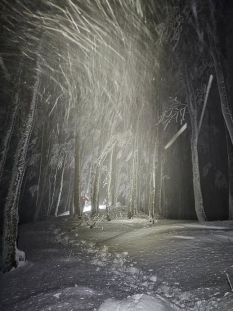 586525051_10236868553165788_8950273461468655548_n 20251122.jpg