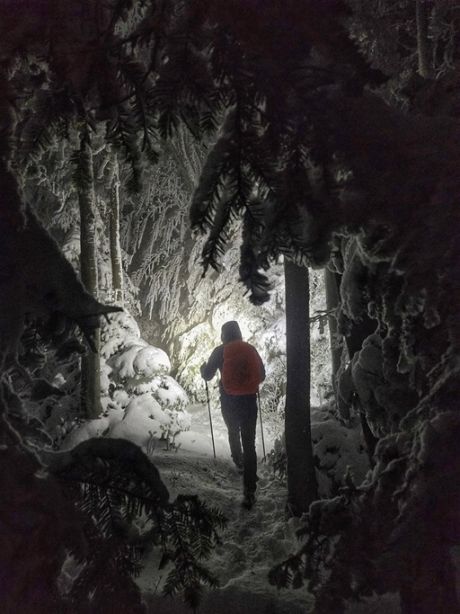 586532339_10236868548605674_1240850367123101395_n 20251122.jpg