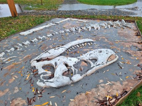 batch_Prapovijesni park Erika 3.jpg