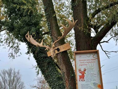 batch_Prapovijesni park Erika 4.jpg