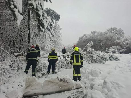 Dvd Voca 20251230.jpeg