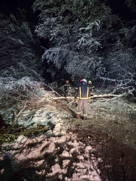 Intervencija  20251230.jpeg