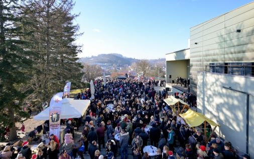 Docek_u_podne 20.jpg