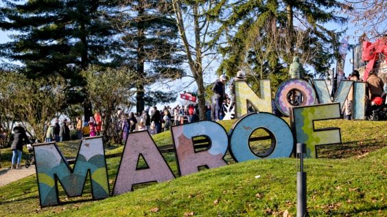 Docek_u_podne 43.jpg