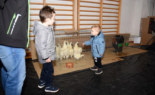izlozba malih zivotinja ivanec 10.jpg