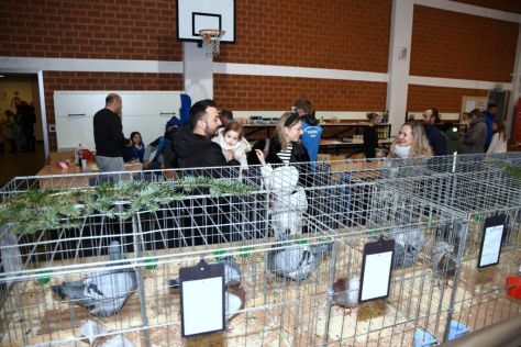 izlozba malih zivotinja ivanec 13.jpg