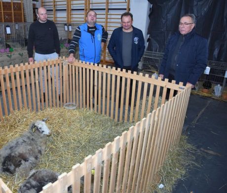 izlozba malih zivotinja ivanec 3.jpg