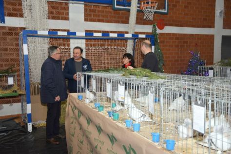 izlozba malih zivotinja ivanec 8.jpg