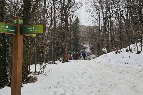 marof-grebengrad 6.jpg