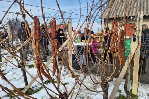 Vincekovo Martijanec 7 20260125.jpeg