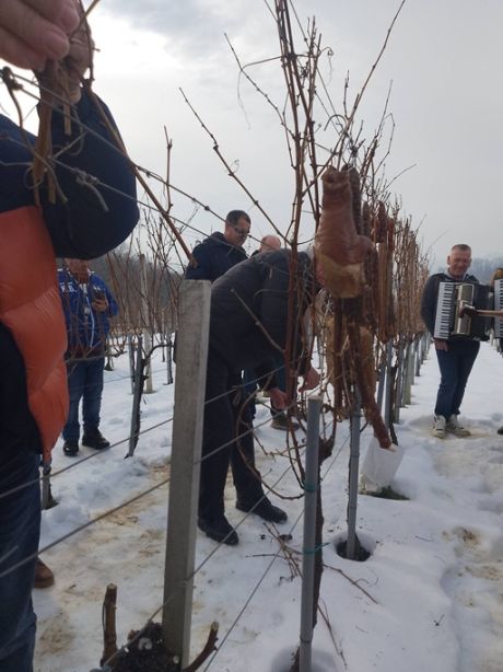 Vincekovo Tuzno 10 20260125.jpg