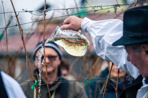 Vincekovo 10 20260126.jpeg