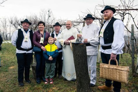 Vincekovo 13 20260126.jpeg