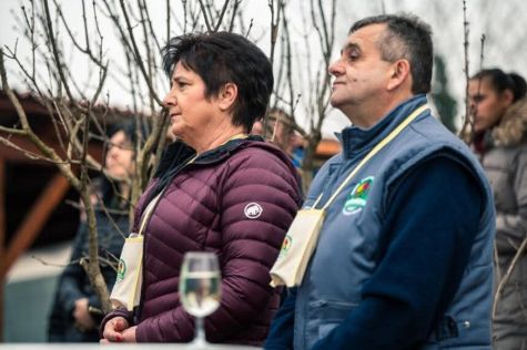 Vincekovo 14 20260126.jpeg