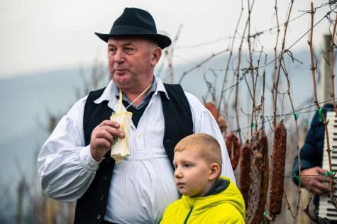 Vincekovo 6 20260126.jpeg