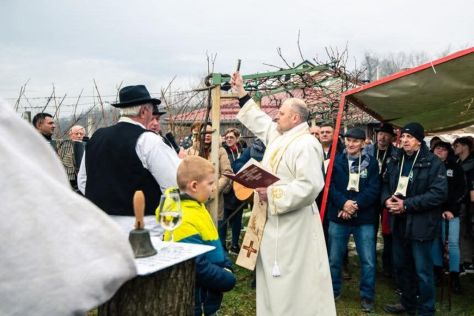 Vincekovo 7 20260126.jpeg