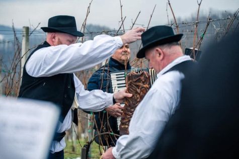 Vincekovo 9 20260126.jpeg