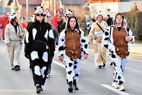 Petrijanec fasnik 10 20260208.jpg