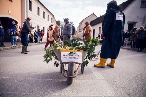 vz toplice-fasnik 13.jpg