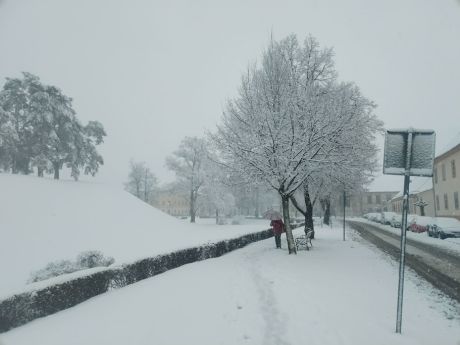 snijezna idila 15 20260220.jpg