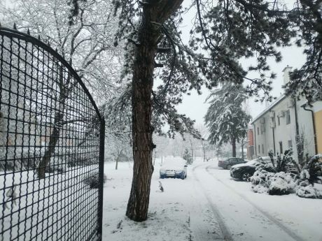 snijezna idila 17 20260220.jpg