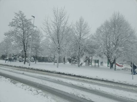 snijezna idila 1 20260220.jpg