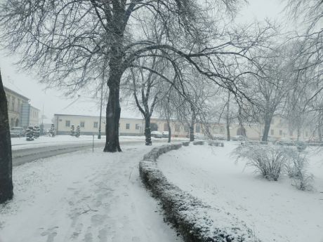 snijezna idila 5 20260220.jpg