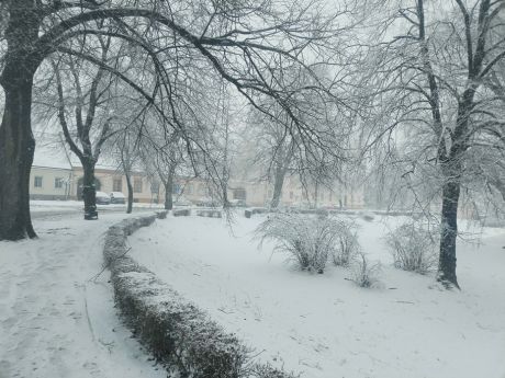 snijezna idila 6 20260220.jpg