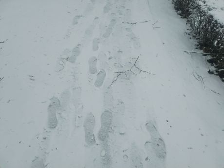 snijezna idila 8 20260220.jpg