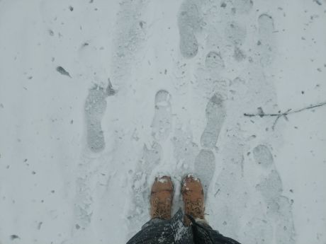 snijezna idila 9 20260220.jpg