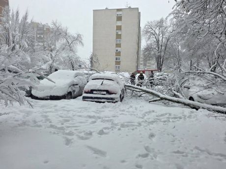 637108992_122288290352192918_6092074897789069650_n 20260221.jpg