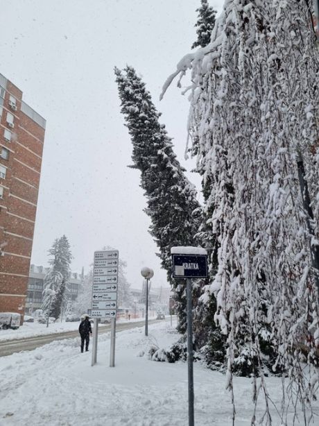 637634833_122288290052192918_236696666820422912_n 20260221.jpg