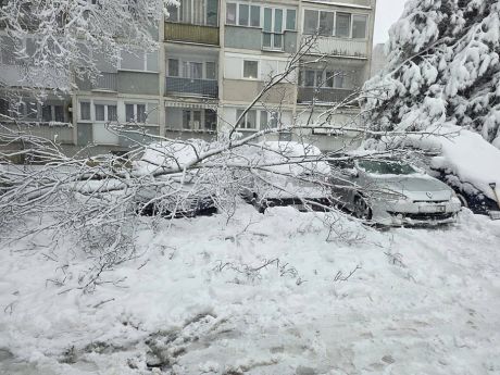 637675453_122288290310192918_8587889465513001777_n 20260221.jpg