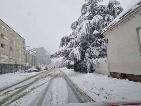 637803718_122288290136192918_5654563640383468547_n 20260221.jpg