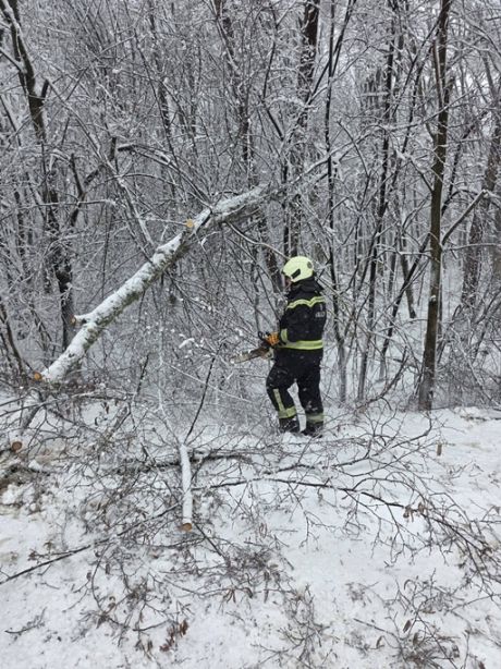 638319741_122288290268192918_8428721471620231764_n 20260221.jpg