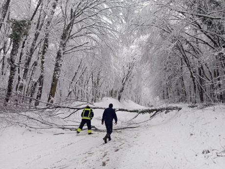 639564725_1210202244558809_4695001791680594115_n 20260221.jpg