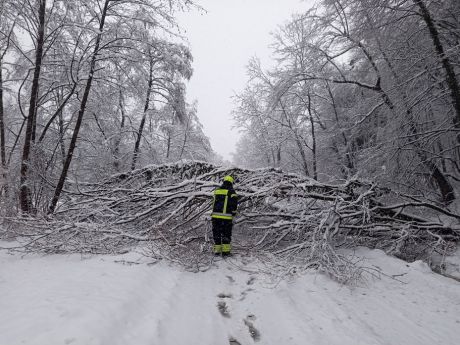 snijeg problemi 1 20260221.jpg