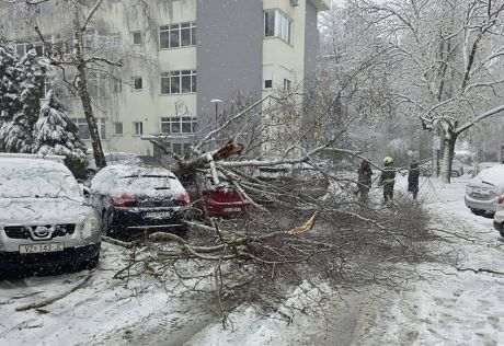 snijeg problemi 3 Varazdin 20260221.jpg