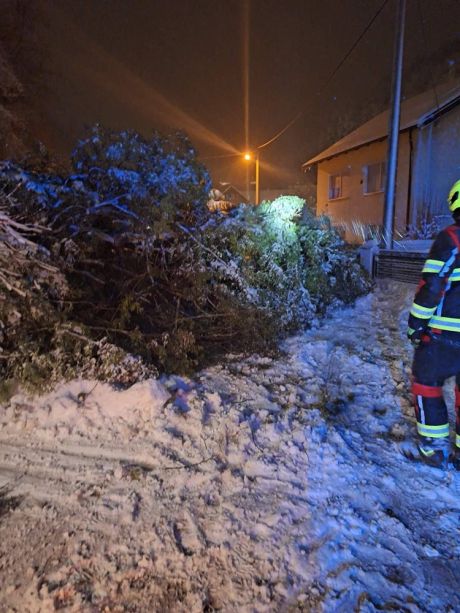 dvd novi marof 14.jpg