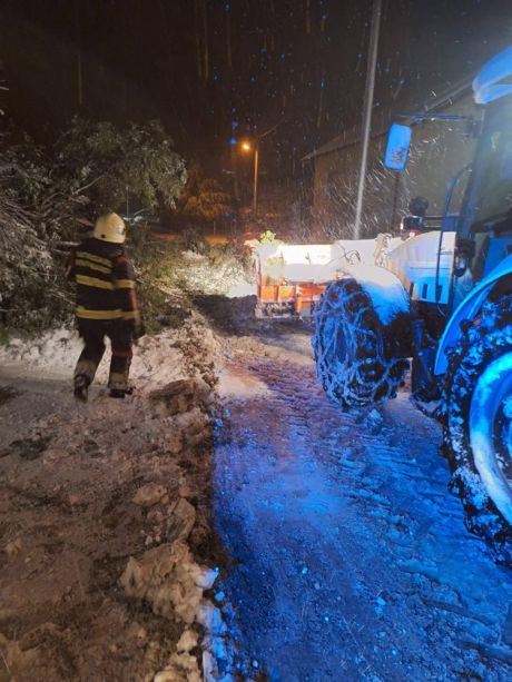 dvd novi marof 6.jpg