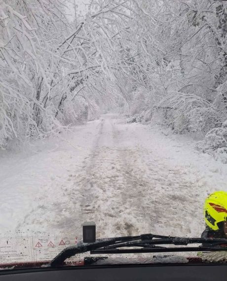 dvd novi marof 8.jpg