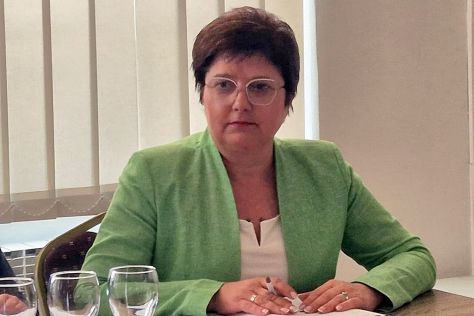 varadinske toplice gradsko vijee 14.jpeg