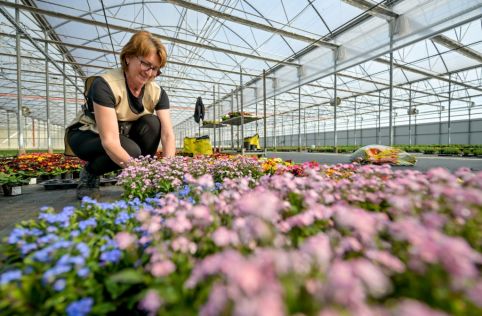 batch_Poticaji_poljoprivreda 5.jpg