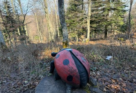 batch_Ivanscica dodatne 13.jpg