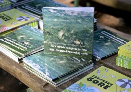 batch_Ivanscica_park_prirode 2.jpg