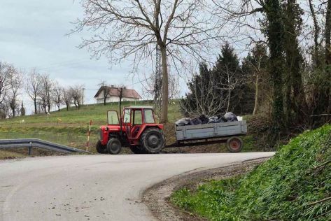 klenovnik-zelena cistka 1.jpeg