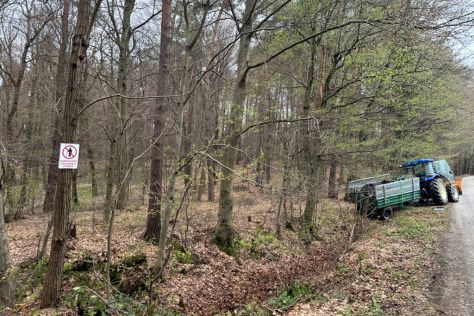 klenovnik-zelena cistka 17.jpeg