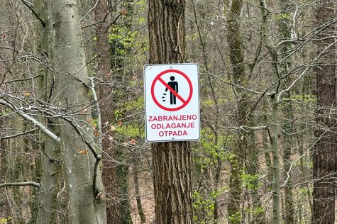 klenovnik-zelena cistka 18.jpeg